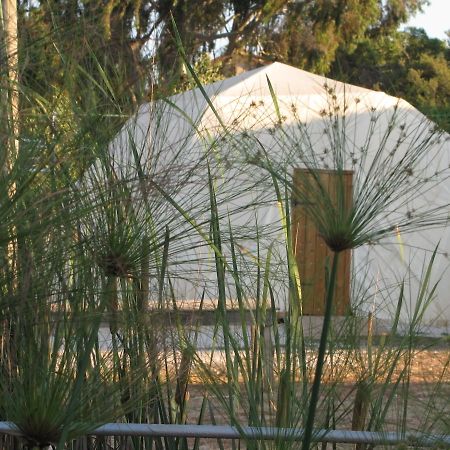 Yarok Az - Ecolodge Farm Ilaniya Quarto foto